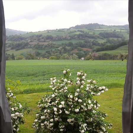Bed and Breakfast Le Bumbarelle Tavoleto Exterior foto