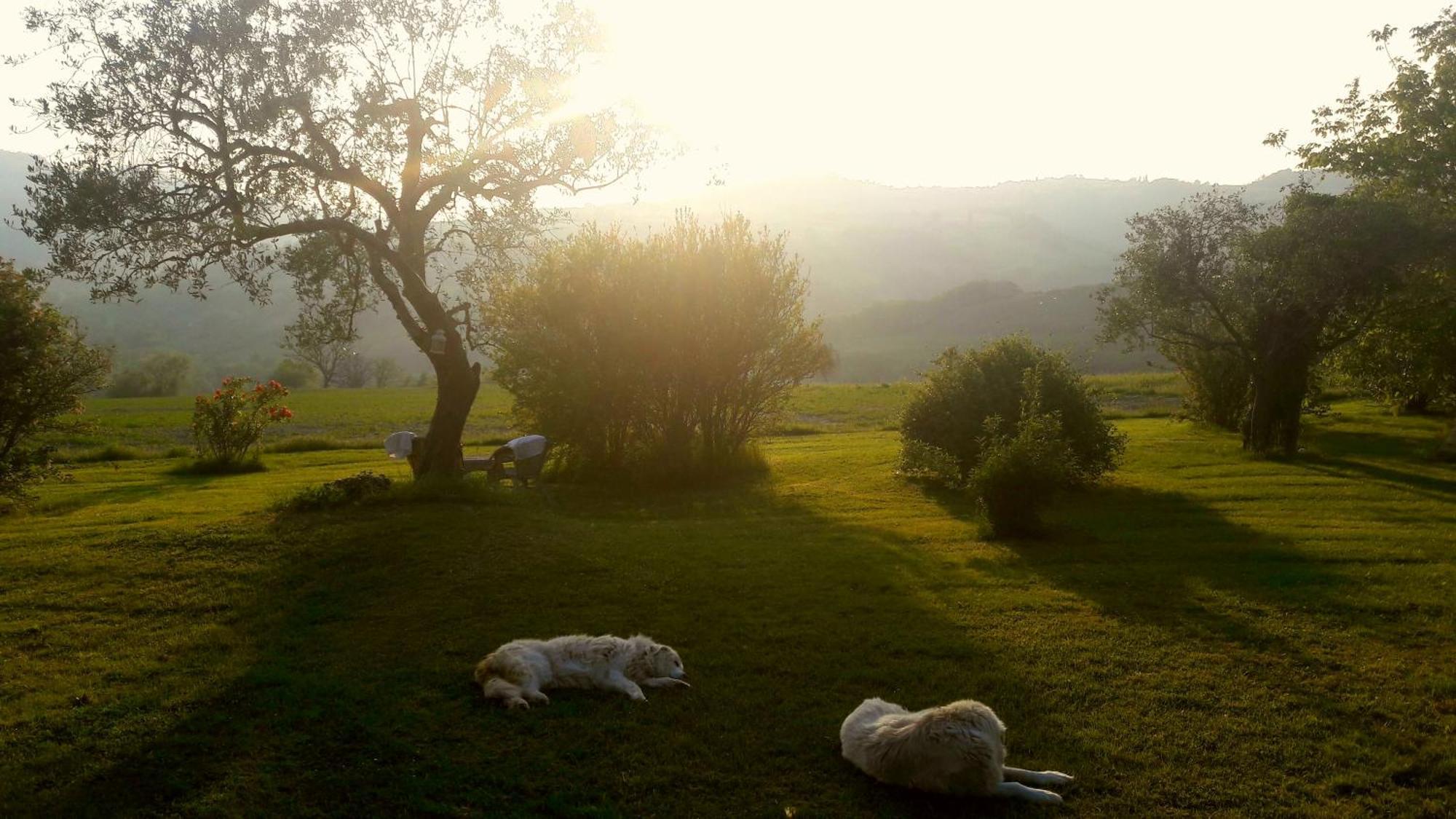 Bed and Breakfast Le Bumbarelle Tavoleto Exterior foto