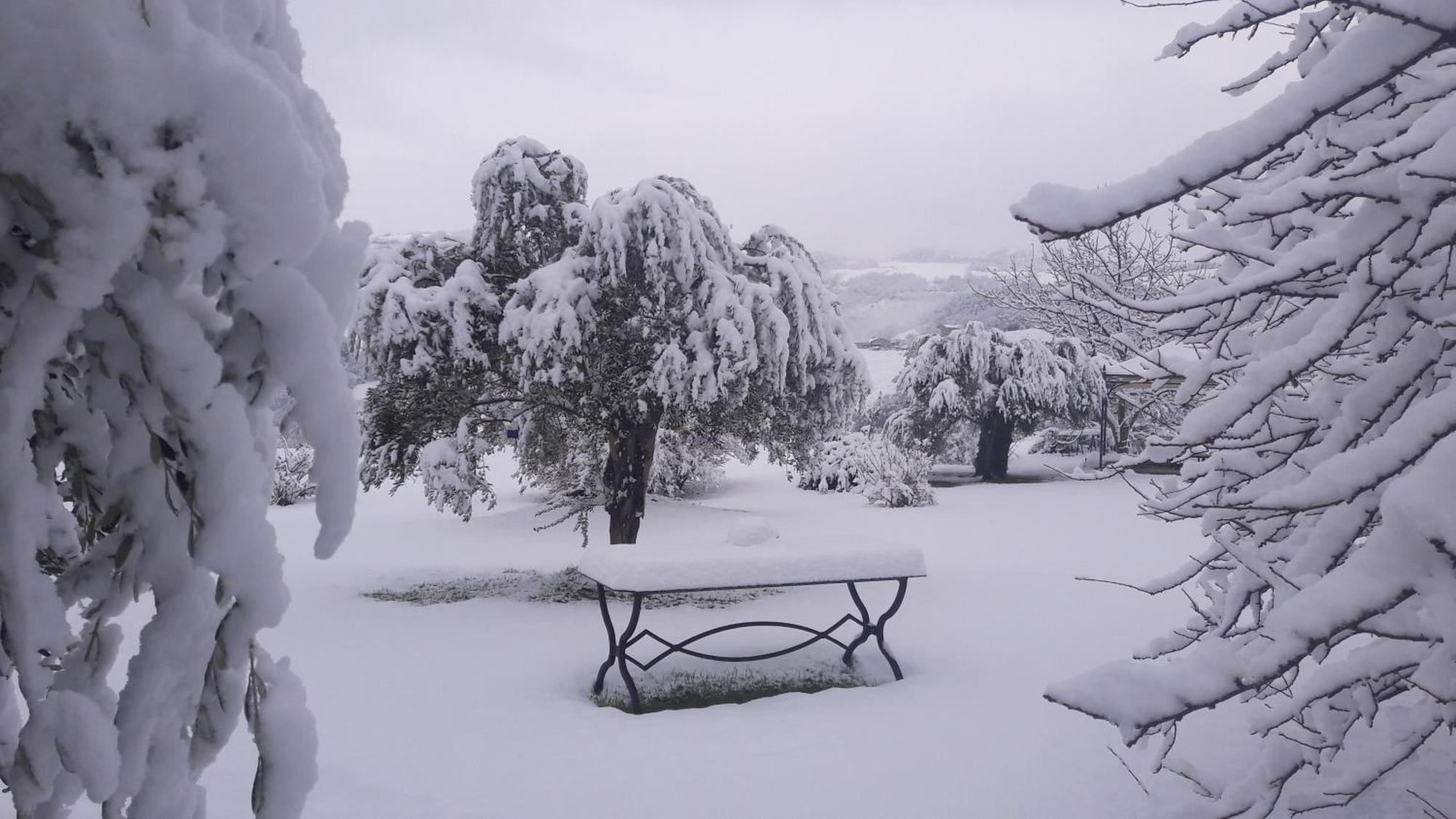 Bed and Breakfast Le Bumbarelle Tavoleto Exterior foto