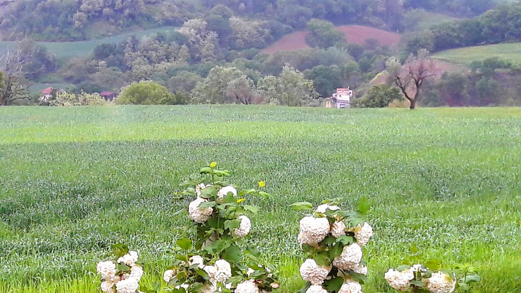 Bed and Breakfast Le Bumbarelle Tavoleto Exterior foto