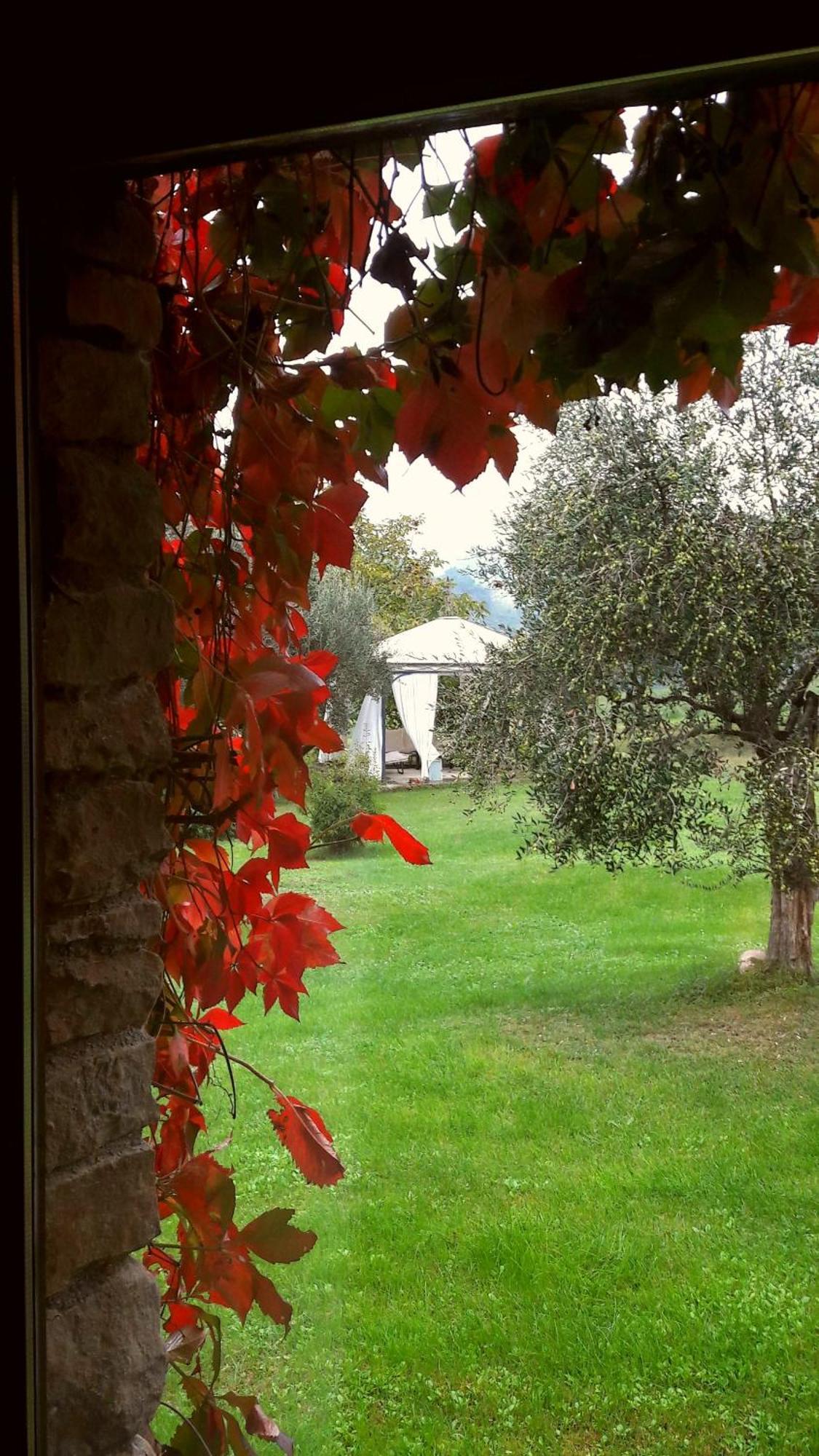 Bed and Breakfast Le Bumbarelle Tavoleto Exterior foto