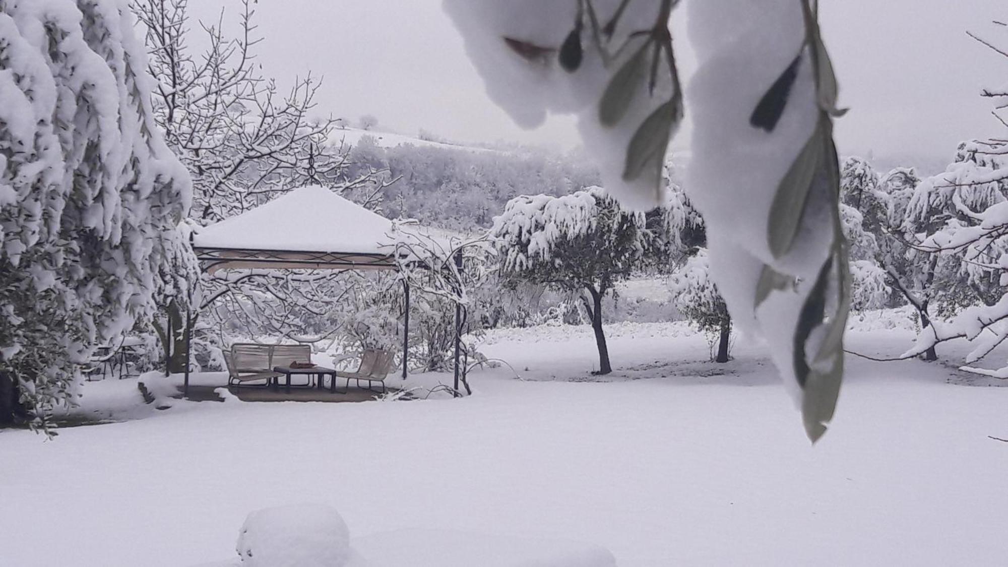 Bed and Breakfast Le Bumbarelle Tavoleto Exterior foto
