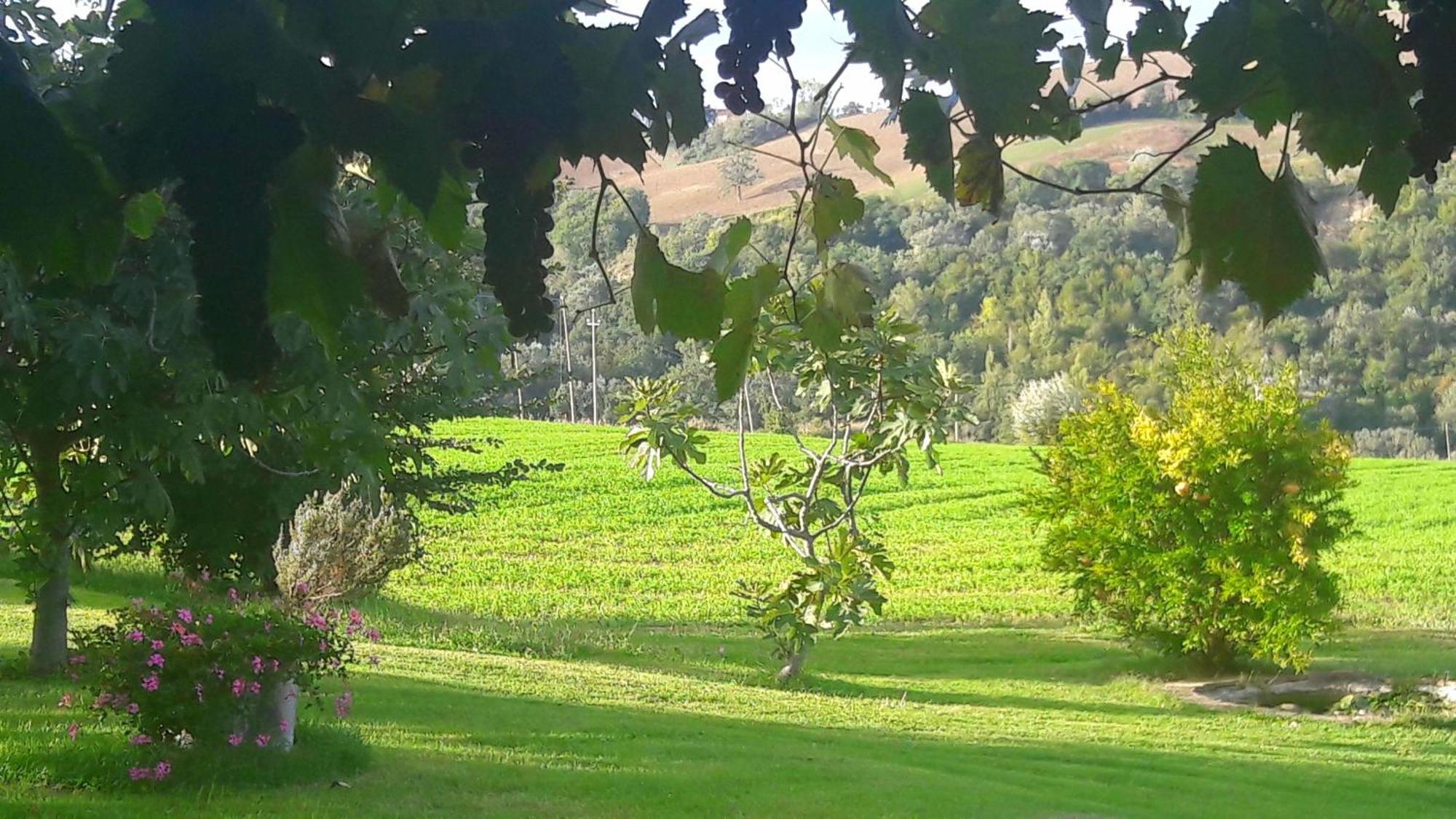 Bed and Breakfast Le Bumbarelle Tavoleto Exterior foto
