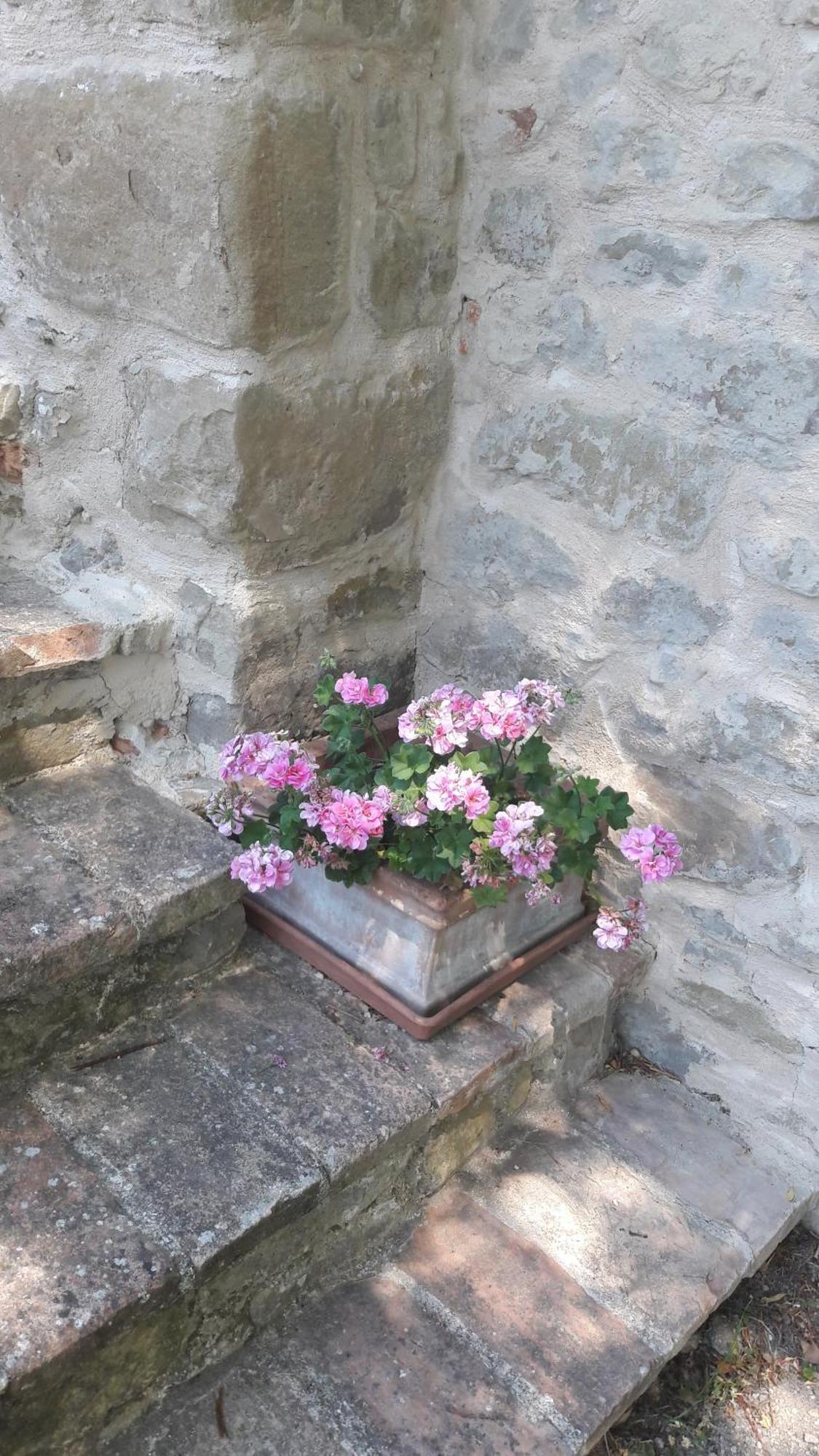 Bed and Breakfast Le Bumbarelle Tavoleto Exterior foto