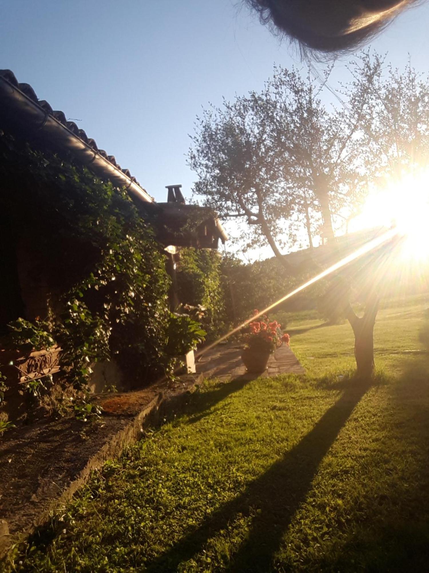 Bed and Breakfast Le Bumbarelle Tavoleto Exterior foto